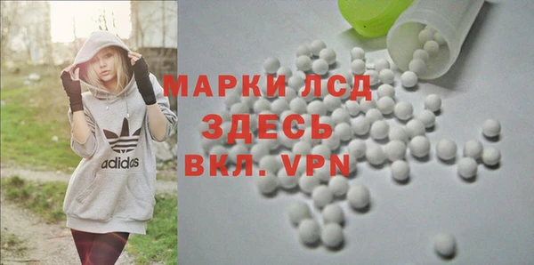 ГАЛЛЮЦИНОГЕННЫЕ ГРИБЫ Алзамай