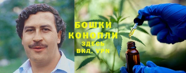 apvp Арсеньев
