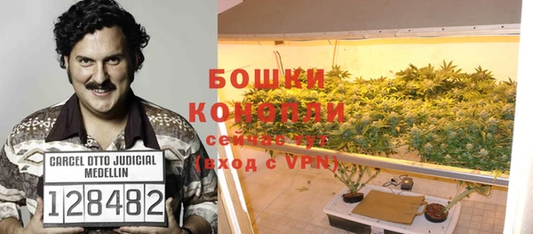 ГАЛЛЮЦИНОГЕННЫЕ ГРИБЫ Алзамай