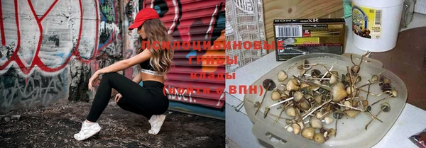 хмурый Алексин